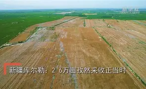 曼联客场苦战库尔勒，取得关键胜利的简单介绍